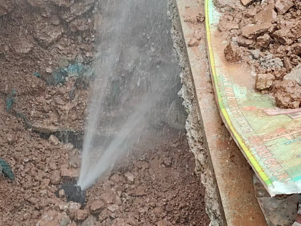 西工区消防水管漏水检测定点开挖